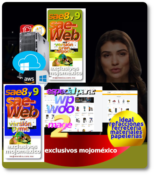MARKETING SEO PARA TU SITIO WEB